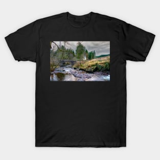 River Taff T-Shirt